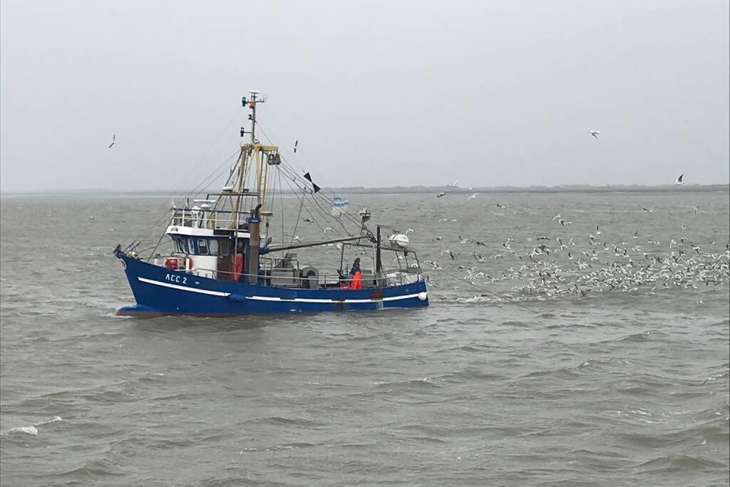 Nordsee Ferienwohnung für 2 Personen Schillig Exterior foto